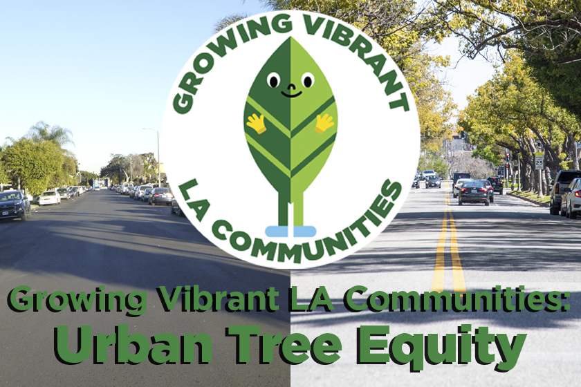 Growing Vibrant LA Communities