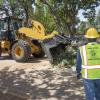 StreetsLA Urban Forestry Tree Removal