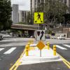 Safer City Crosswalks