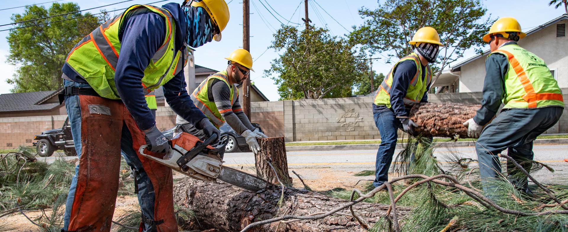 Urban Forestry